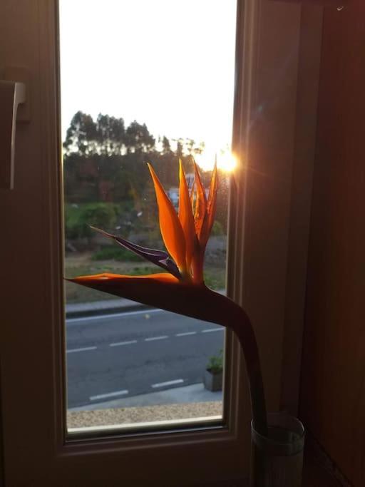 Casa Jose Y Maria Villa O Grove Dış mekan fotoğraf